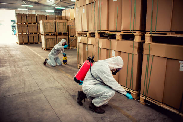 Best Termite Control Services  in Thompsonville, PA