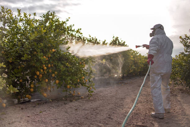 Professional Pest Control in Thompsonville, PA
