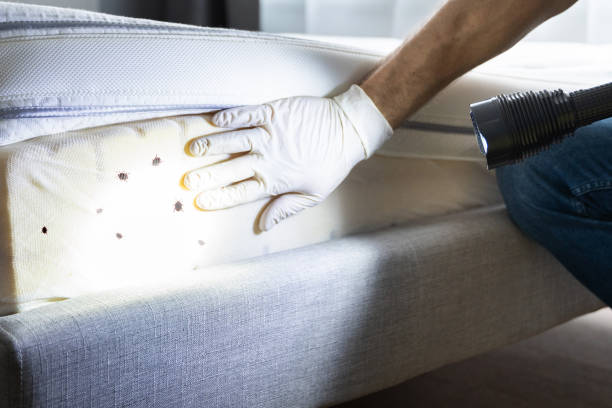 Best Pest Control for Homes  in Thompsonville, PA