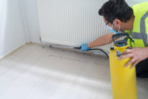 Best Affordable Pest Control Services  in Thompsonville, PA