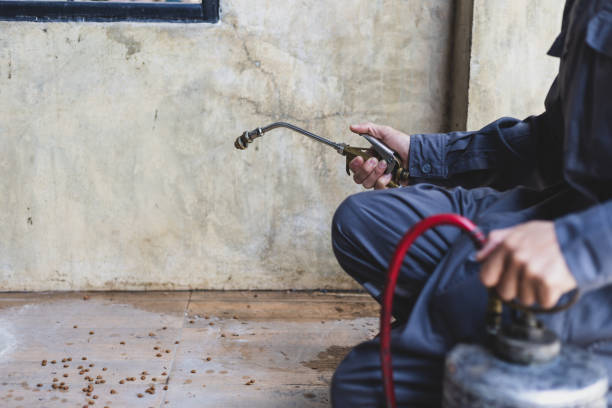 Best Mosquito Control Services  in Thompsonville, PA